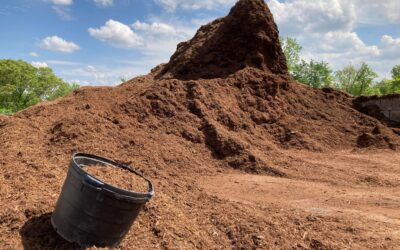 Mulch Now to Reap Benefits All Season