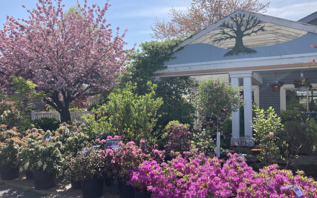 Garden Center Sale Going on NOW!