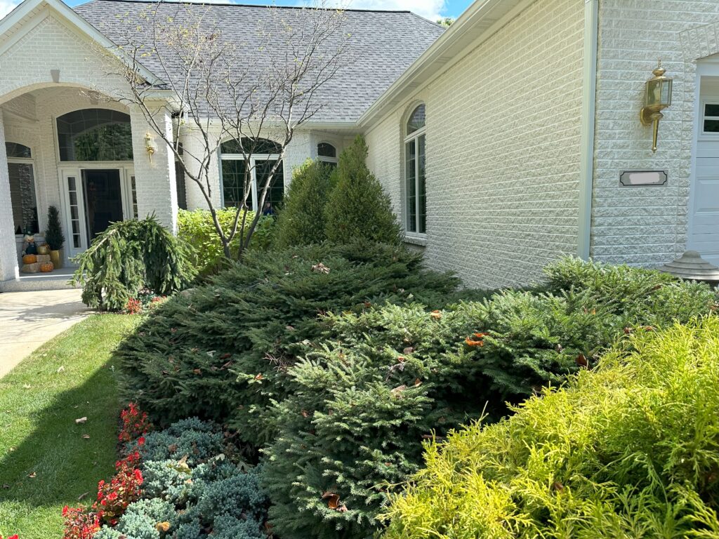 Japanese Garden Minimalist and Serene - before photo