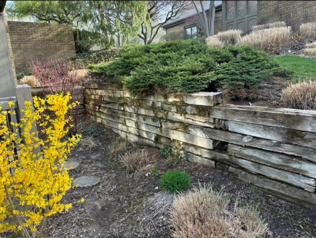Retaining Wall Refresh-Before